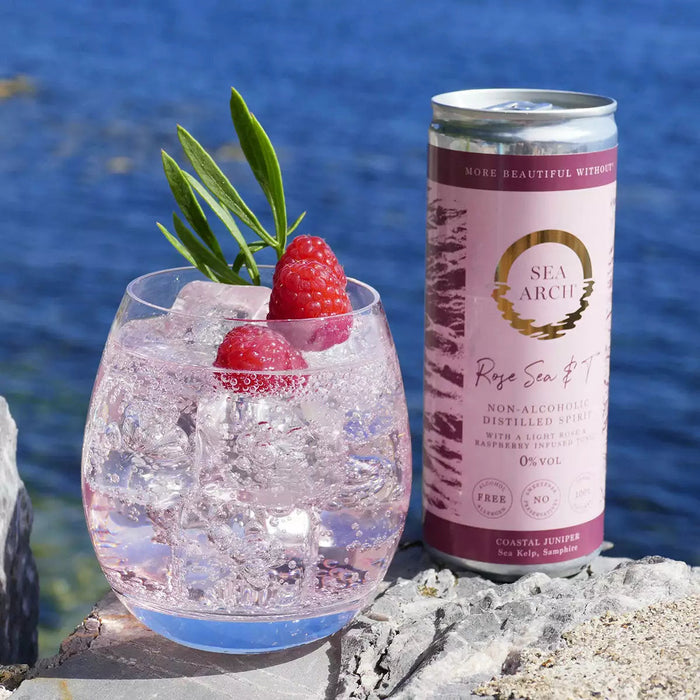 Sea Arch Rose Sea & T Non-Alcoholic Gin & Tonic, UK - 1 x 250ML product lifestyle image | SKU BEVR-733314
