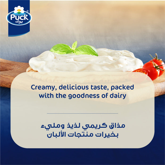Puck Cream Cheese Spread creamy dairy product detail | SKU BREK-157554