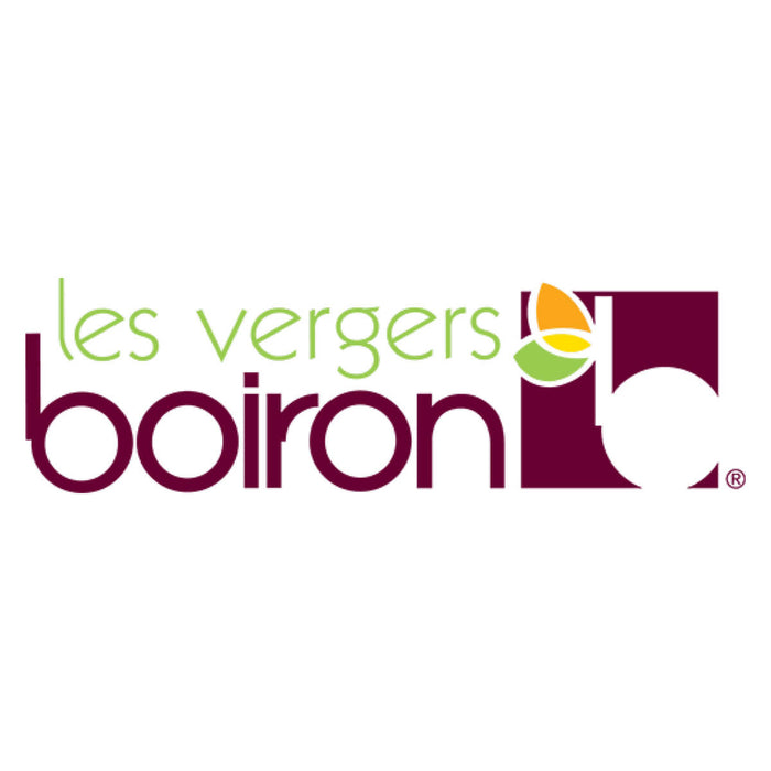 Boiron Strawberry Puree, France - 1KG