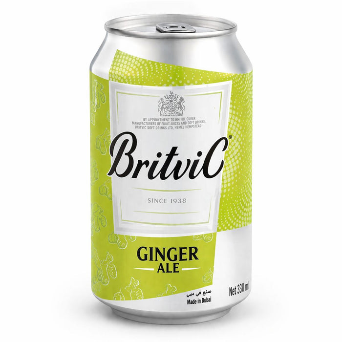 Britvic Ginger Ale Soft Drink - 24 X 300ML