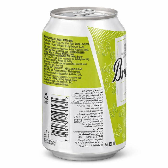 Britvic Ginger Ale Soft Drink - 24 X 300ML