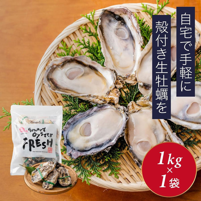 Kunihiro Frozen Smart Oyster Fresh, Japan - 1KG