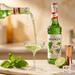 Monin Basil Syrup 700ML pour macro with fresh basil | Addtocart Dubai UAE