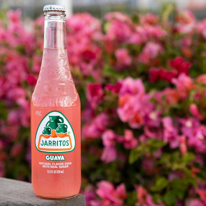 Jarritos Soda Flavor Guava Drink - 24 X 370ML | 2 Day Lead Time