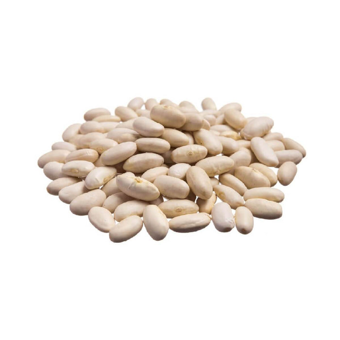 Omega Beans White/Navy - 1KG